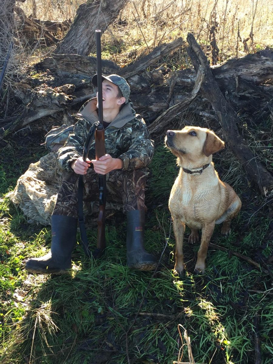 Llaverias' son, John, and their family dog, Remi, watch a duck.