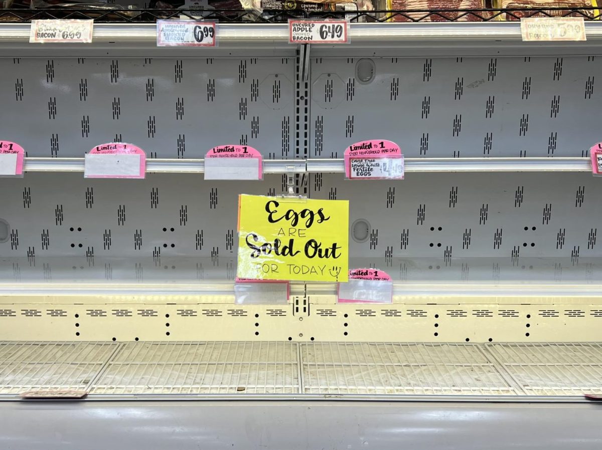 Empty egg shelves at the Imperial Highway Trader Joe's. The nationwide egg shortage is due to avian influenza, more commonly known as the "bird flu."