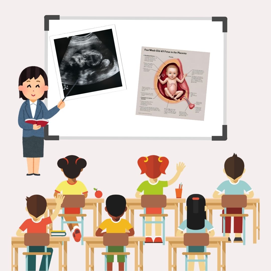 Senate File 175 emphasizes the humanity of the unborn child constructing a focus on prenatal human development and pointing out that development starts after fertilization. 

The bill utilizes AI to showcase what development may look like in the early stages. The image on the right is what Canva Magic Media AI said an unborn baby looks like at 4 weeks. Graphic created by Lydia Gerety using Canva.