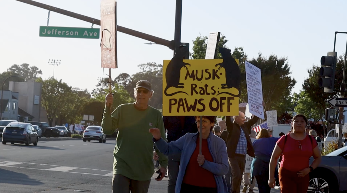 The Trump Protests in Palo Alto