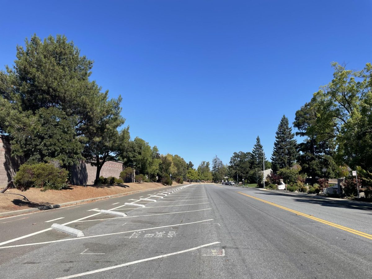 A current view of the site where the villas are planned to be built, including the parking spaces that will be eliminated as a result of this development.