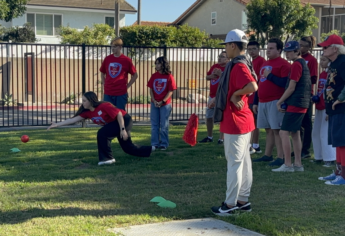 Participants need to roll a ball as close to the target as possible to score points for their team.
